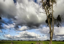 50岁何润东翻红 涨粉近100万