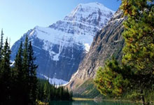 天涯神贴双色球