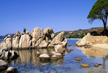 天涯社区海南农垦版块太乡了!老铁们说这是垦三代的根儿,每夜不忘盖楼唠烫                                                                                    😏